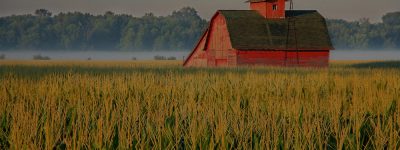 farm and crop insurance in Thibodaux Louisiana | Toups Insurance